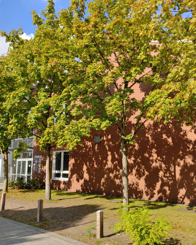 Herbstferien