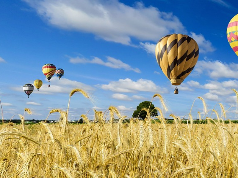 Unser Abschied und Sommergr&uuml;&szlig;e